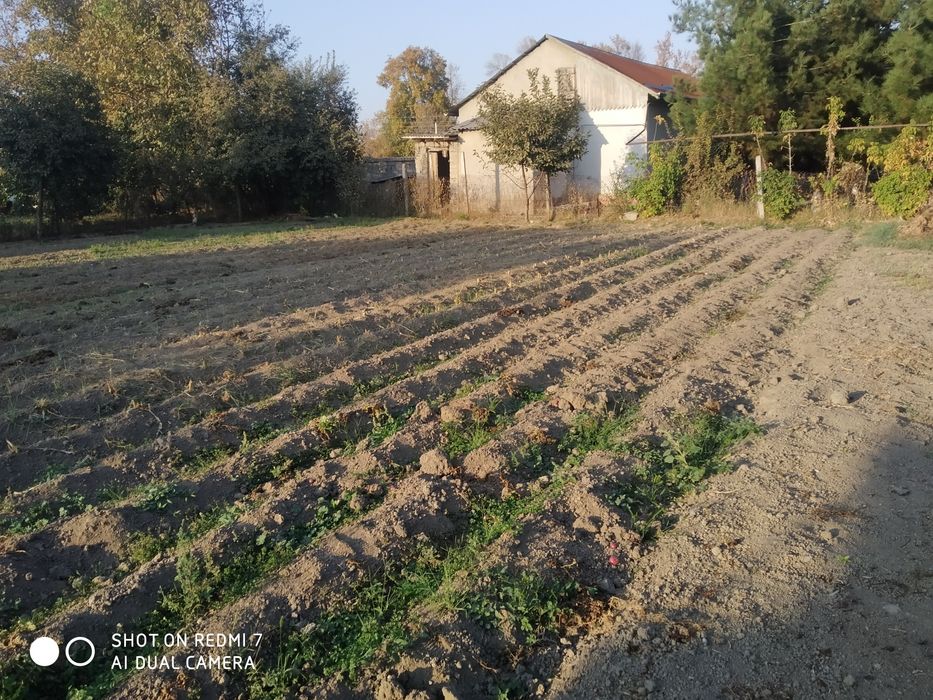 Прадется земельный участок в кибрае кипчаке