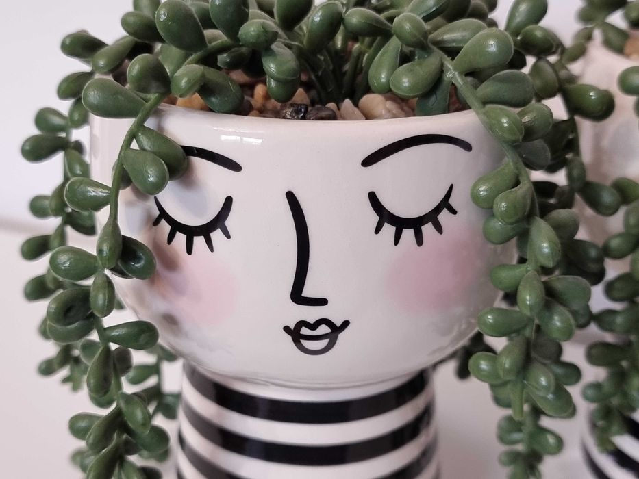 Set 2 decoratiuni portelan cu plante artificiale, 15 cm