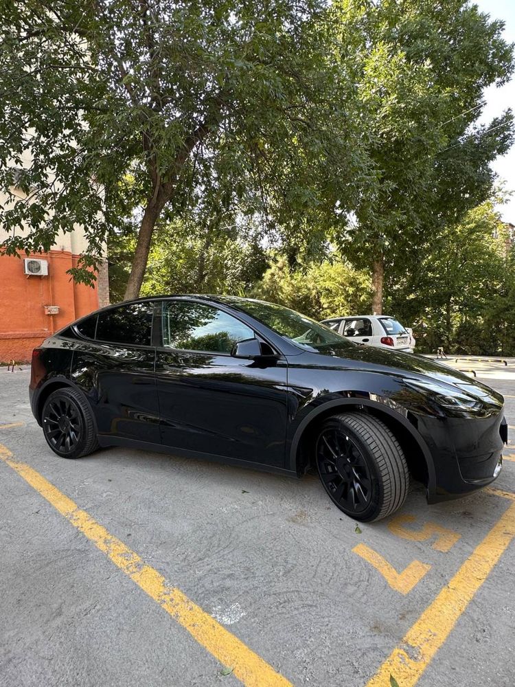 Tesla Model Y (новая)
