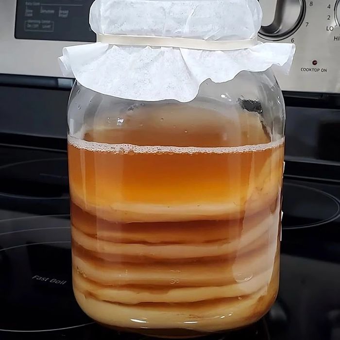 Продам  Чайный   гриб