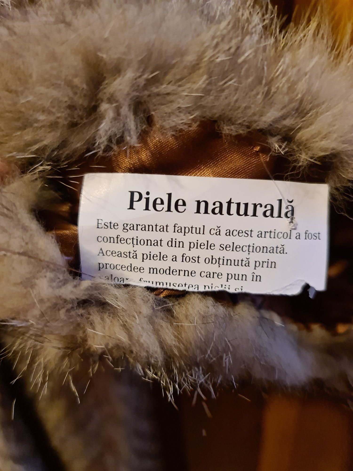 Blana naturala vulpe canadiana