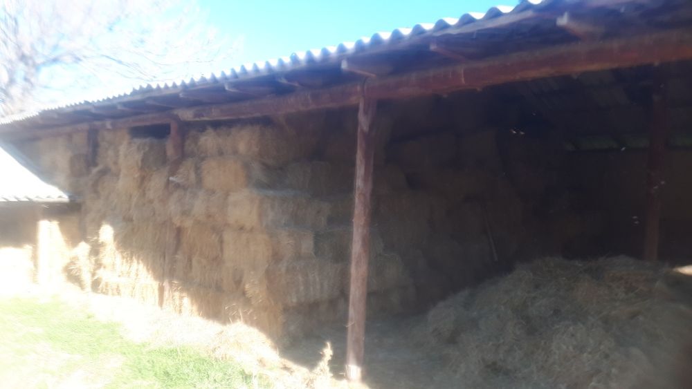 Tabiy Toza Pichon press