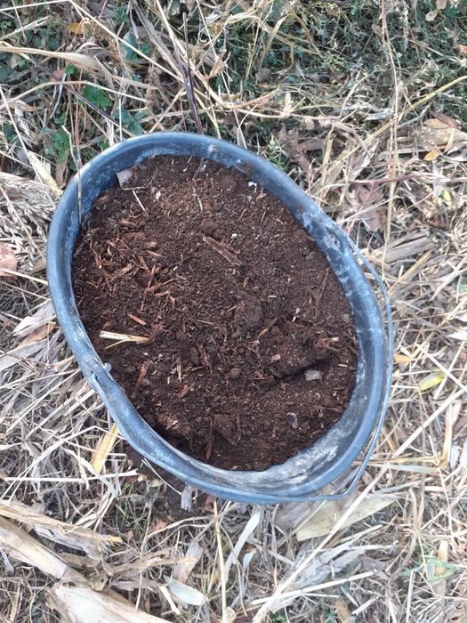 Mraniță de vaca la sac