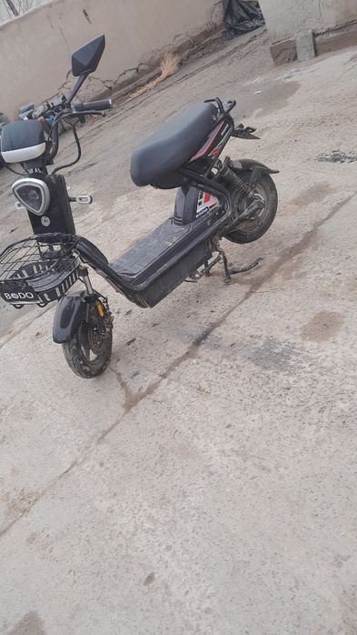 Yangi va arzon squter
