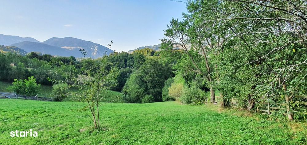 Teren investitie sau casa de vacanta , Pestera , Brasov