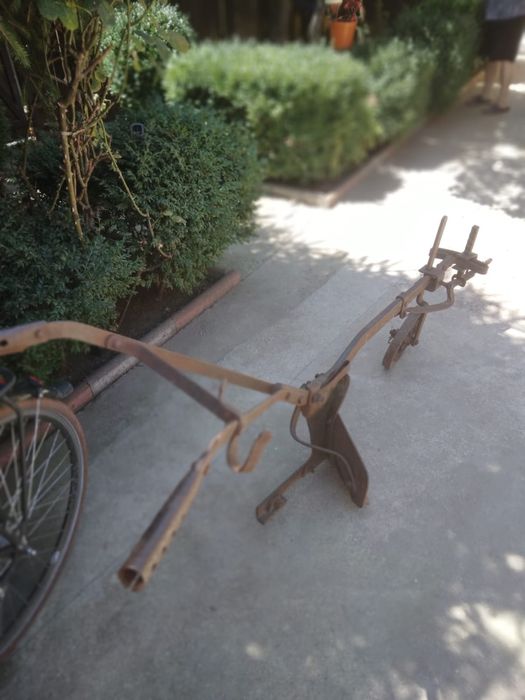 Plug vechi obiecte de colectie gradina de tras cu boii