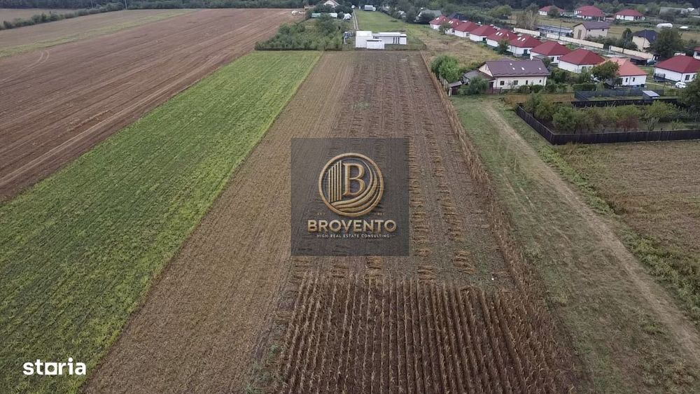 Teren Moara Vlasiei / Strada Cantonului - Padure