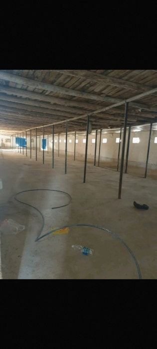 Ферма сатылады Ферма