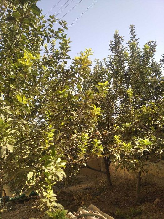 Продается Коттедж