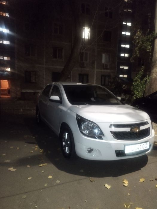 Собалт сотилади 2024