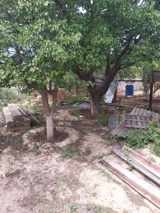 Продам дачу жилой массив Рауан(рекон)