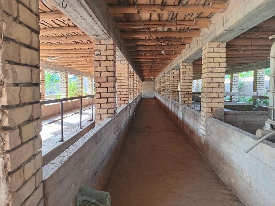 Участок 26 соток