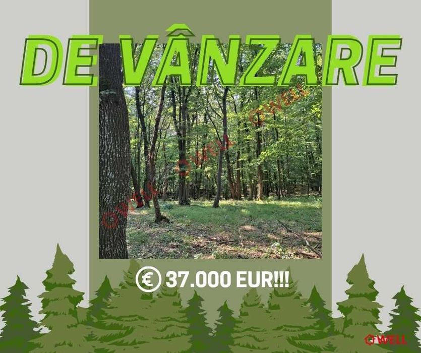 De vânzare: pădure mixtă de foioase, 7 ha, lângă Gogani