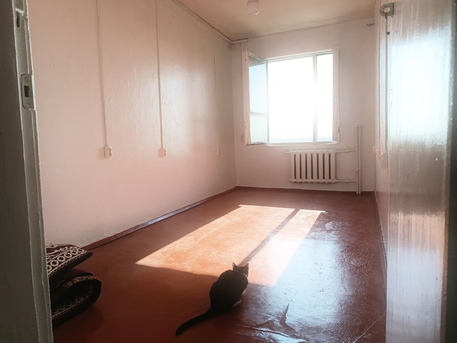 Московская ,,Новое Динамо,, Базар