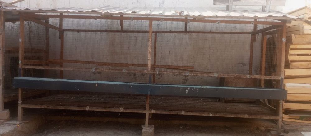 Товук катак сотилади срочний сураганга нархи келишилади.