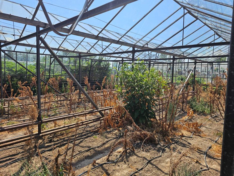 Продава се стъклена оранжерия