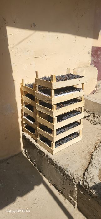 Виноградный напиток,  натуральный.