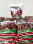 Biogomus sifatli tabiiy mahsulot