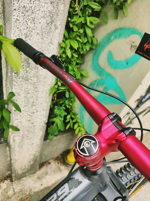 Dartmoor Primal 2022 * custom *