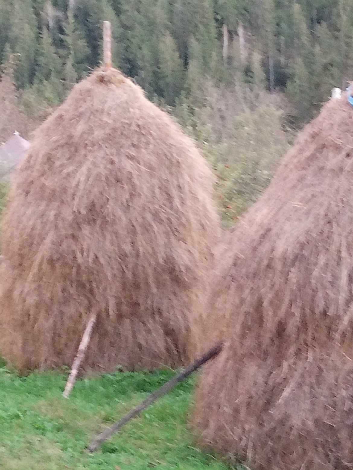 Clăi de fân de vânzare