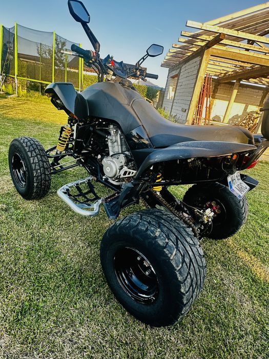 ATV Dinli 450  Subaru