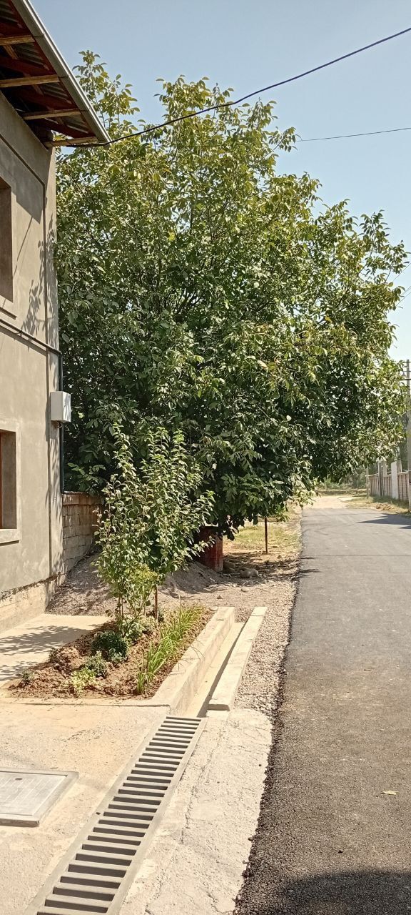 Арзонга ер сотилади енги 16 йилик Бунедкор махалла .кара камиш тугриси