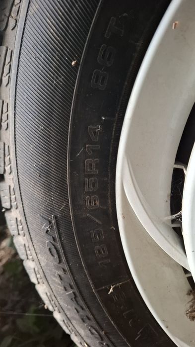 Remorca pentru cai Westfalia