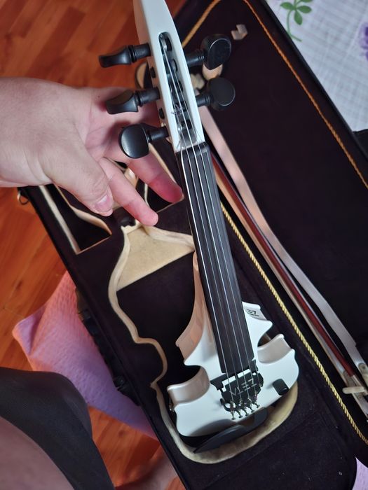 Se vinde Vioara zeta pe cuie placa mica