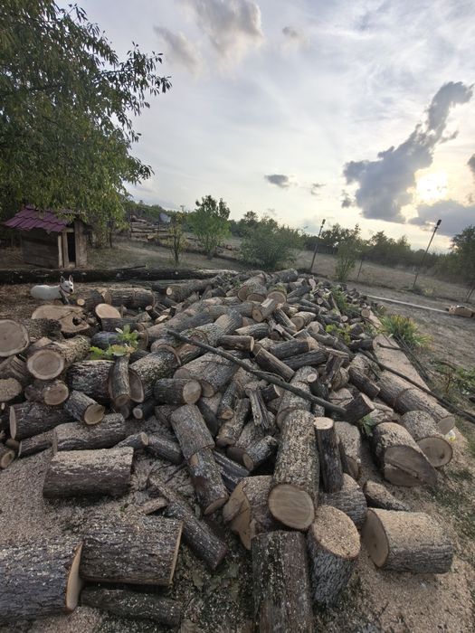 Servicii Profesionale de Tăiat și Spart Lemne pentru Foc în Târgu Jiu