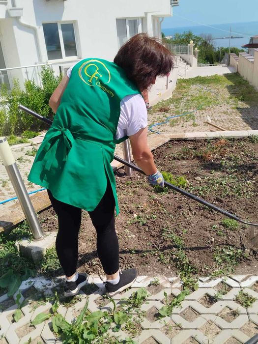 Професионално почистване и поддръжка: дом, двор, басейн, тревни площи