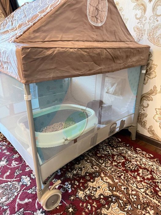 Shodlandskiy skottish fold 1yosh 7oy homlador 50/50