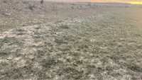 Продам песчаный карьер в Астане по Кургальджинской трассе