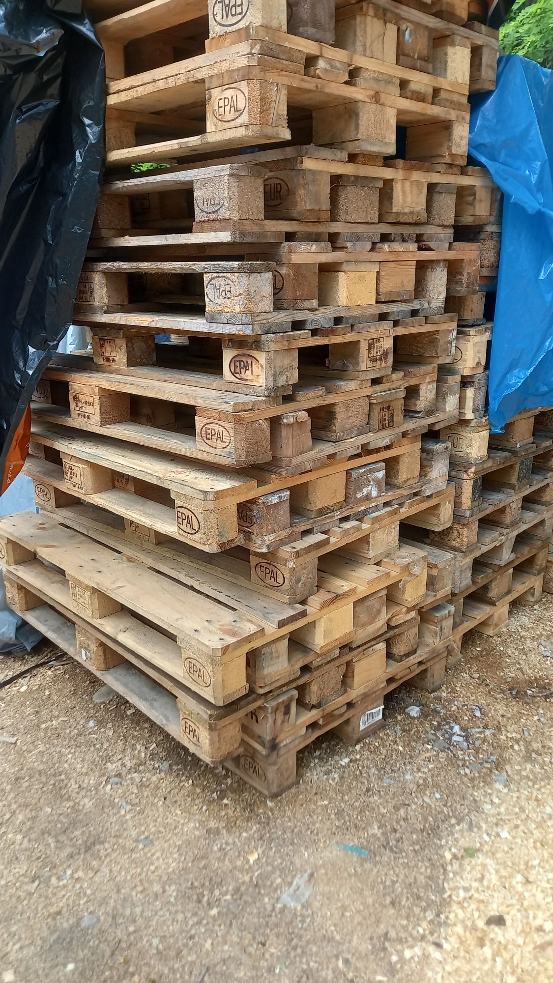 Vând paleți euro/non euro 1200x800