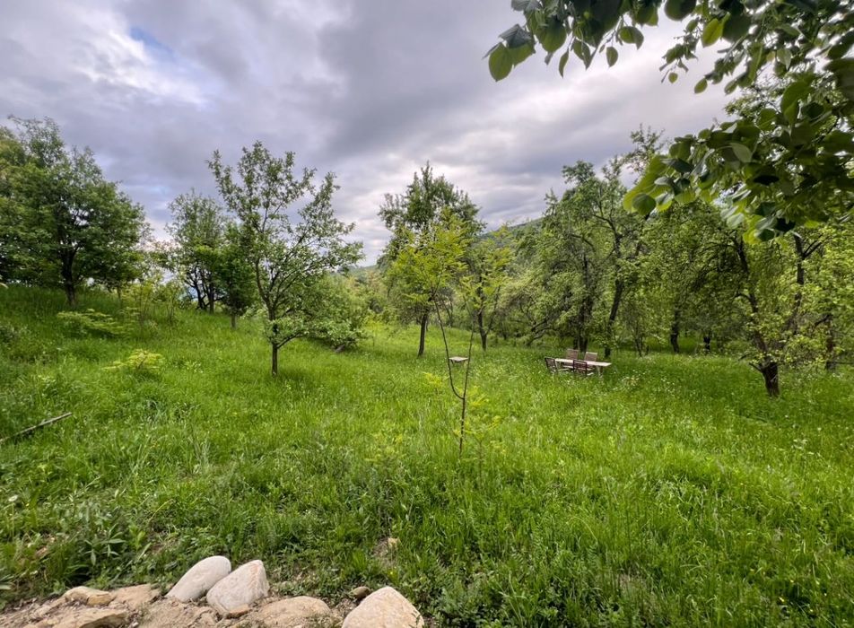 Teren de vis cu cabană, 3300 mp – Sotrile, Valea Doftanei