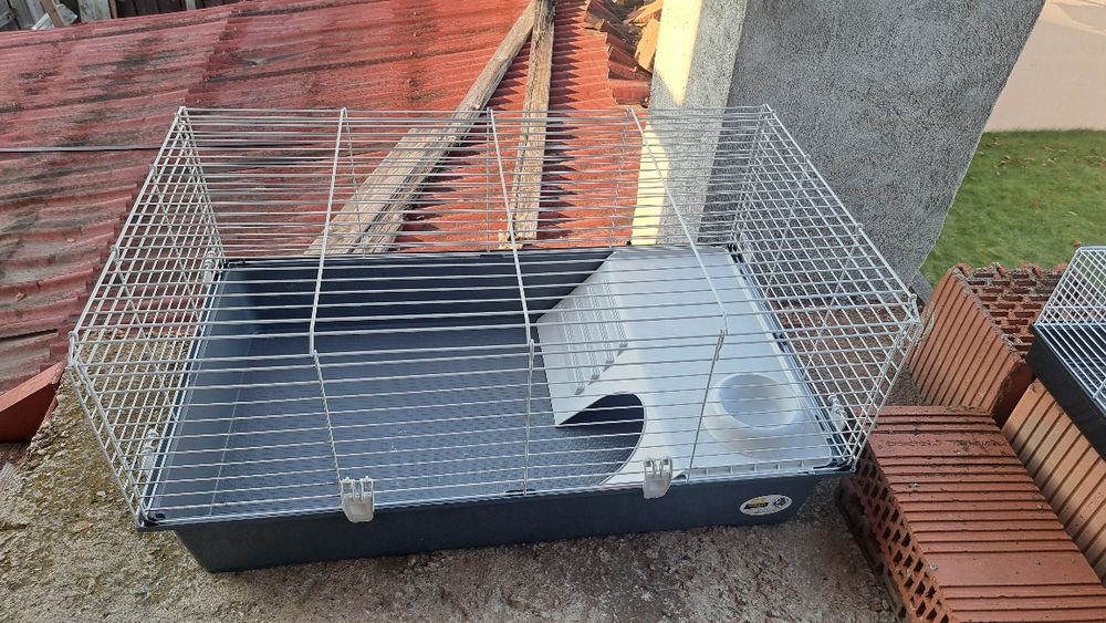 Cutie animale mici, iepuri, porcusori de guineea, arici,