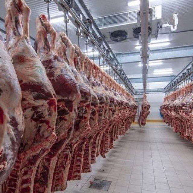Danar gushtlari lavash xamiri saseska xamasi bor