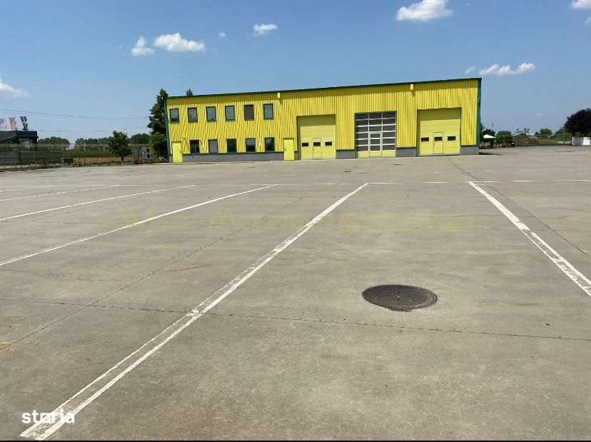 Pecica, 12000 mp platforma, inchiriere lunga durata,