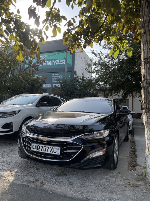 Малибу 2 примиер 2022