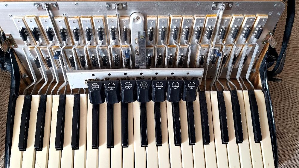 Acordeon italian Infinito 96 basi