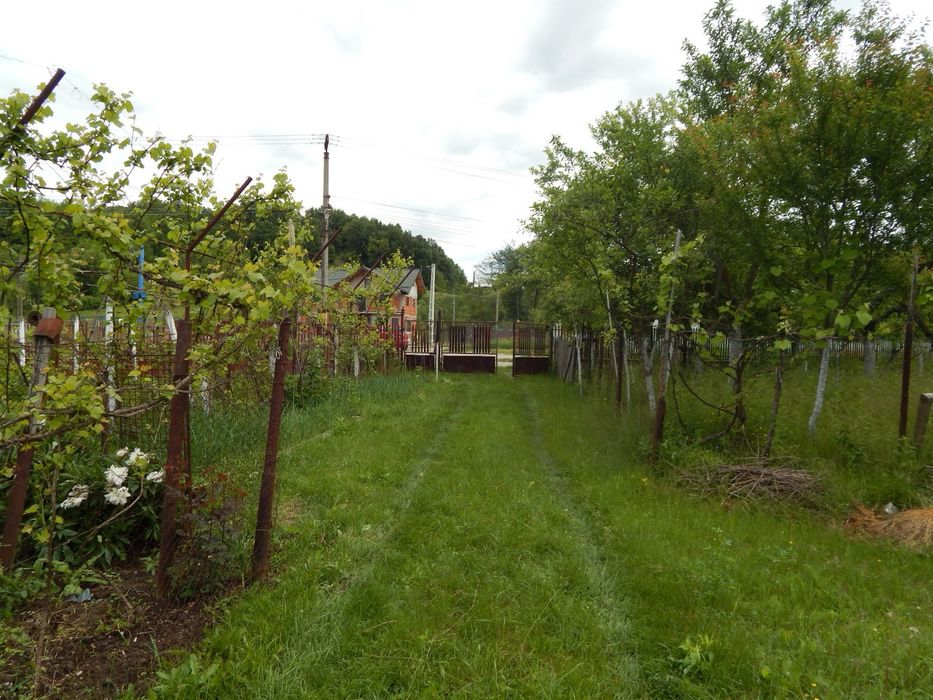 Casa bunicilor la tara