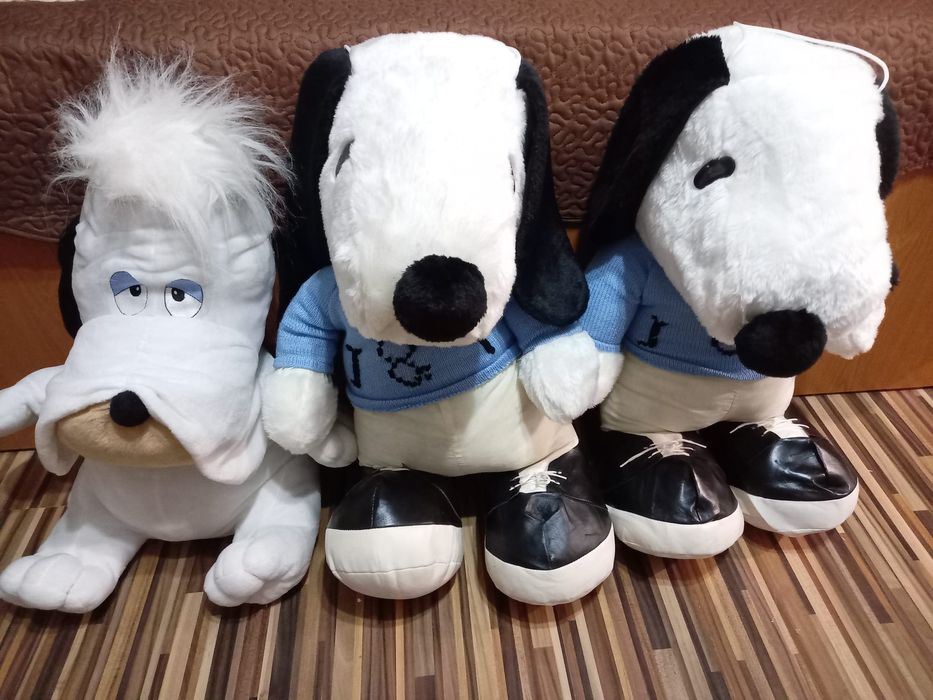 Vând cățeluși plus!