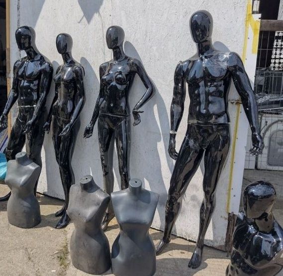 Manechine manechini de senzație