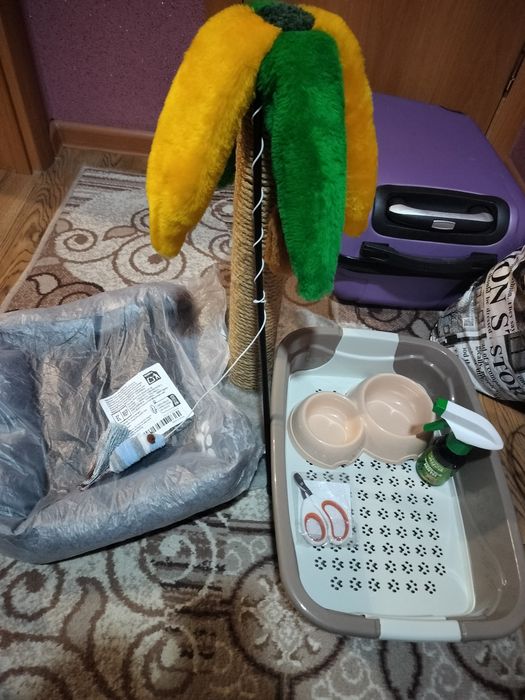 Продам для котят