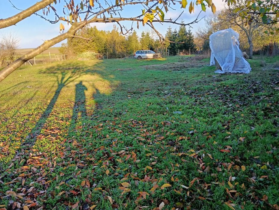 Продава се Парцел в с. Стефан Караджа, Област Добрич - 1020 кв.м за 17 €/кв.м - Снимка #2