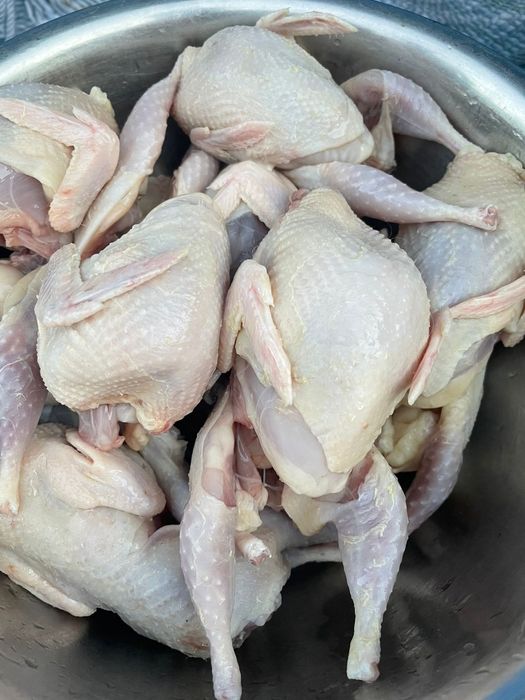 Vând prepelițe consum!