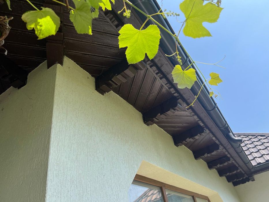 Casă 3 camere Târpești, Târgu Neamț