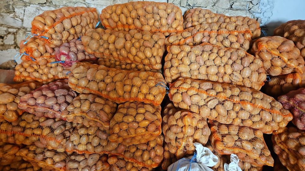 Vând cartofi de consum, de sămânță și pentru animale