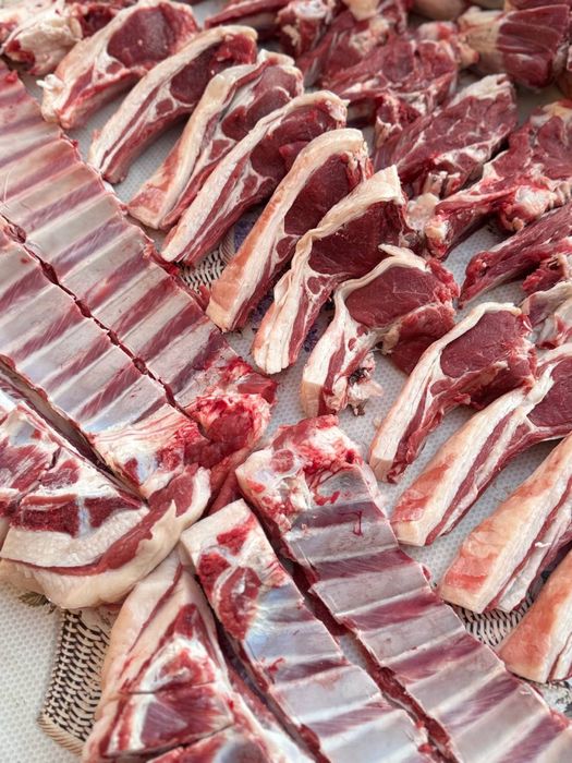 Halol qo’zi qo’chqorlar, qassob, kalla pocha