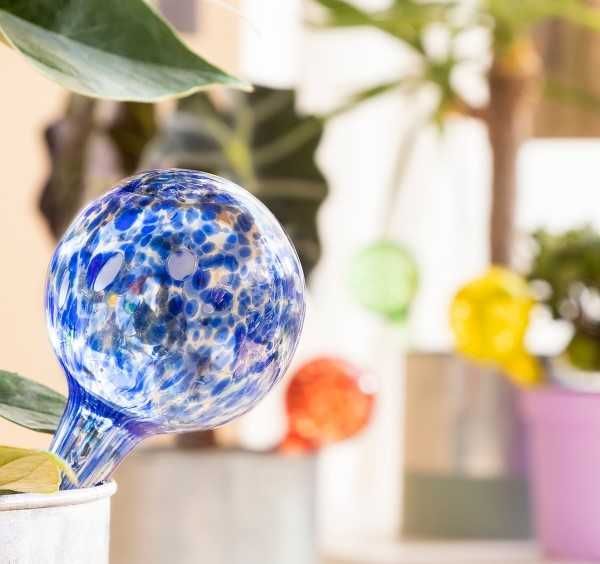 Set 4 Globuri de udare automata pentru plante de apartament