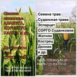 Семена:Пшеница,Травы:Овсяница Эспарцет Кострец Люцерна Суданка Фацелия